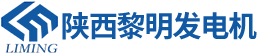 西安发电机组