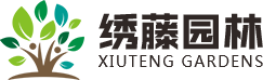 太原进口紫藤公司