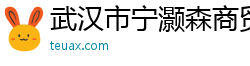 武汉市宁灏森商贸有限公司
