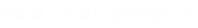 英迪格（天津）电气有限公司