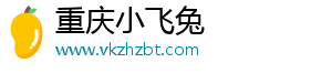 重庆小飞兔电子商务有限公司