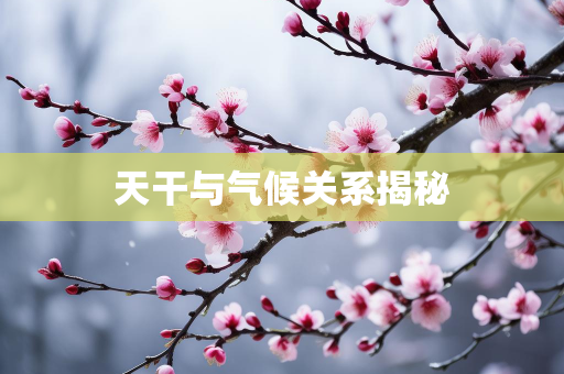气候知识总结
