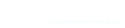 武汉管家婆软件