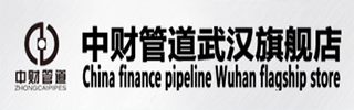 武汉中财管材