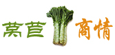 中国莴苣商情网
