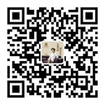 左右沙发