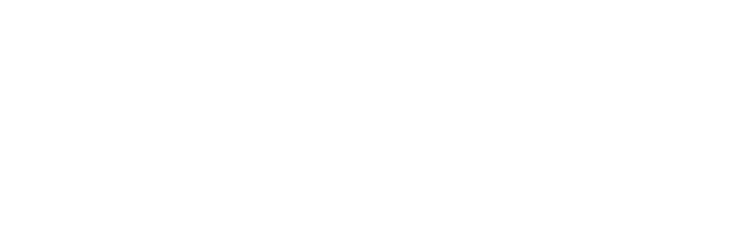 北斗国芯