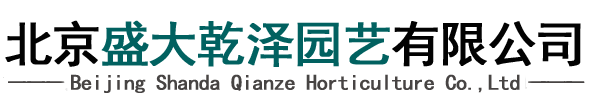 绿植租赁,花卉出租,园林绿化工程