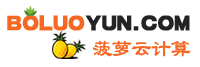菠萝云-香港VPS,香港云主机,香港云服务器专业IDC服务商