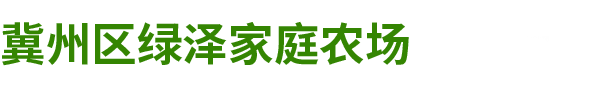 冀州区绿泽家庭农场