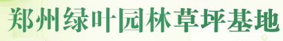 郑州草坪基地