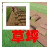 柏乡县鑫硕家庭农场