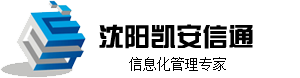 沈阳软件公司