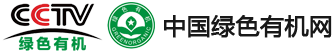 首页
