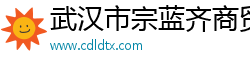 武汉市宗蓝齐商贸有限公司