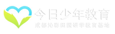 今日少年教育