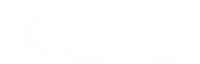 苗木市场