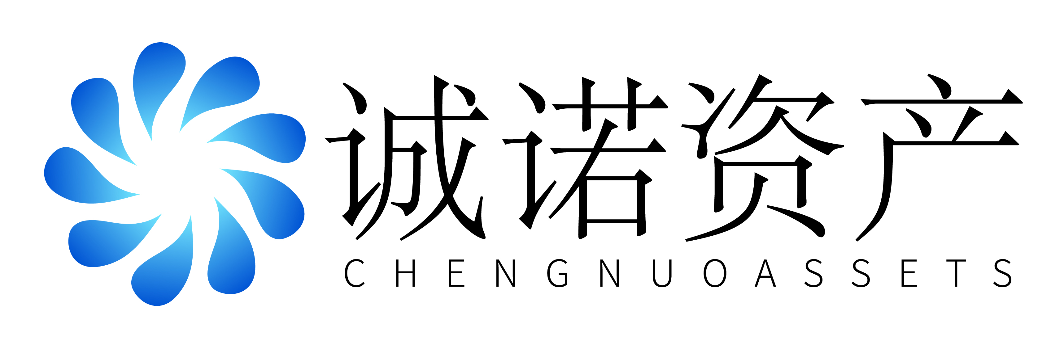 深圳诚诺资产管理有限公司
