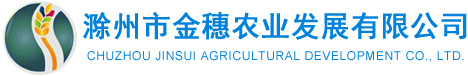 滁州市金穗农业发展有限公司 官方网站 金穗农业 香菇 猴头菇 金针菇 木耳 银耳 磨菇 鸡腿菇