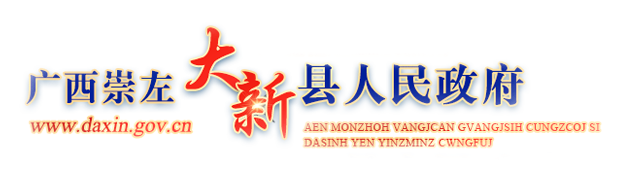 广西崇左市大新县人民政府门户网站