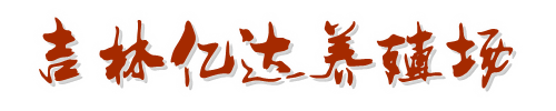 东北肉牛,东北黄牛犊价格,吉林西门塔尔牛养殖基地,肉牛犊行情,吉林肉牛价格