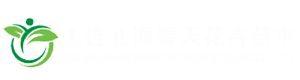 大连北海春天花卉
