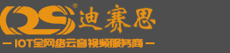 DS迪赛思