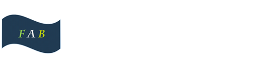 深圳市友飞杰科技有限公司,5.8G图传模块