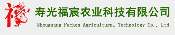 西葫芦种子/西红柿种子/黄瓜种子/寿光福宸农业科技有限公司