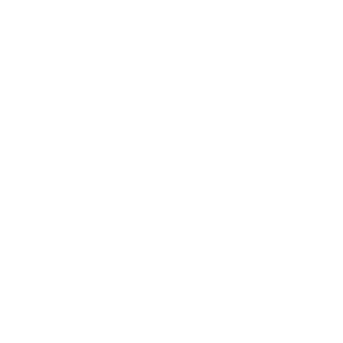 DNS安全卫士·网笃软件