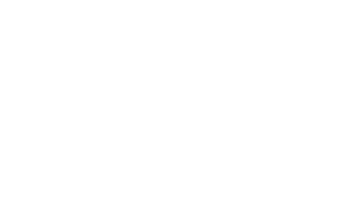 专业知识产权服务提供者