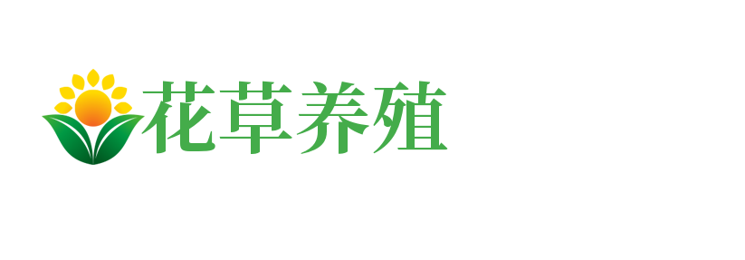 花卉网