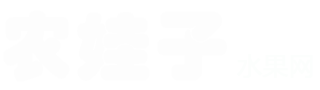 农娃子
