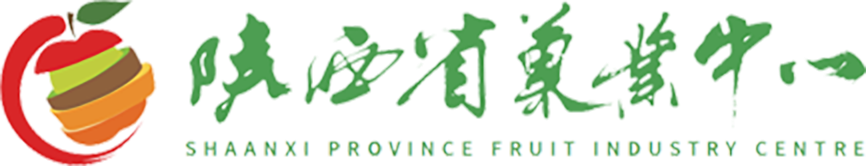 首页