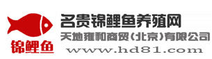 中国锦鲤鱼养殖网,锦鲤