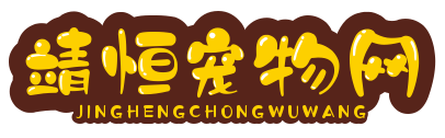 靖恒宠物网