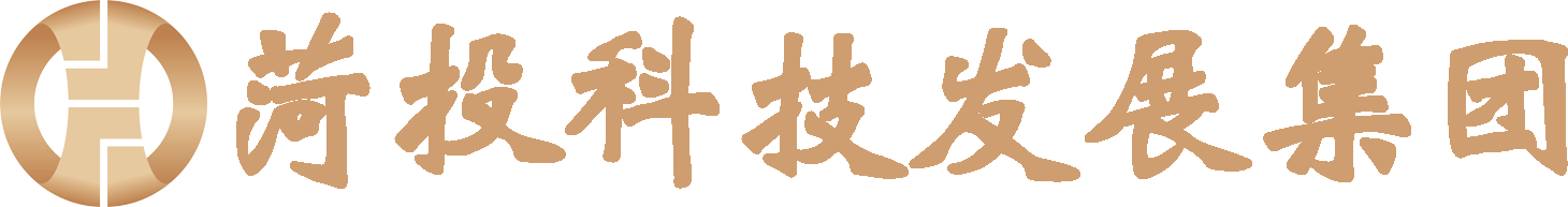 山东菏投科技发展集团有限公司