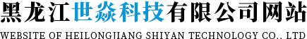 哈尔滨电锅炉