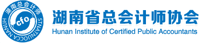 湖南省总会计师协会