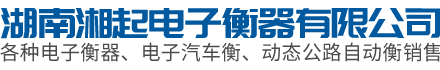 湖南湘起电子衡器有限公司