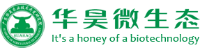 广东华昊农业技术开发研究院
