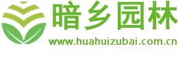 绿植租赁,花卉租摆,植物租赁,办公室花木租摆,租花,花卉批发销售,除甲醛