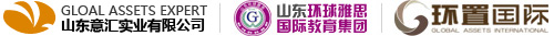 山东环置国际