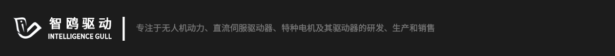 安徽智鸥驱动科技有限公司