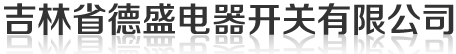 吉林省德盛电器开关有限公司