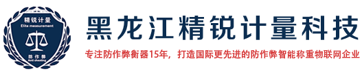 黑龙江精锐计量科技有限公司,黑龙江防作弊衡器,EMT