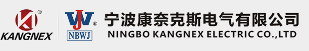 宁波康奈克斯电气有限公司