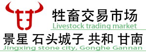 景星牲畜交易市场石头城子牲畜交易市场甘南牲畜交易市场共和牲畜交易市场