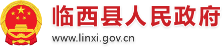 临西县人民政府