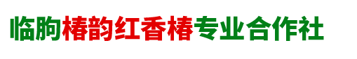 红香椿苗